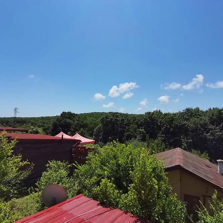 Guest House Fanny Sinemoretz Ngoại thất bức ảnh