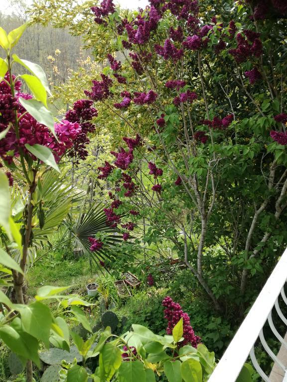 Guest House Fanny Sinemoretz Ngoại thất bức ảnh