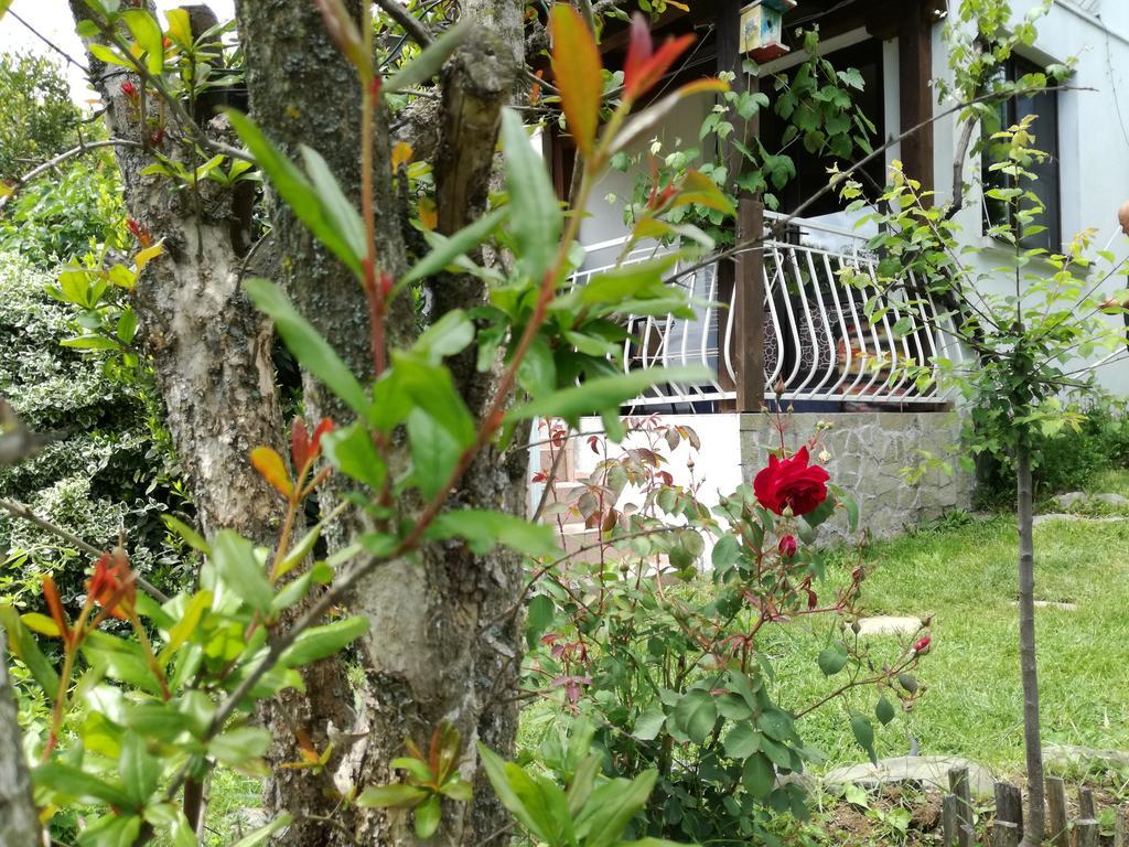Guest House Fanny Sinemoretz Ngoại thất bức ảnh