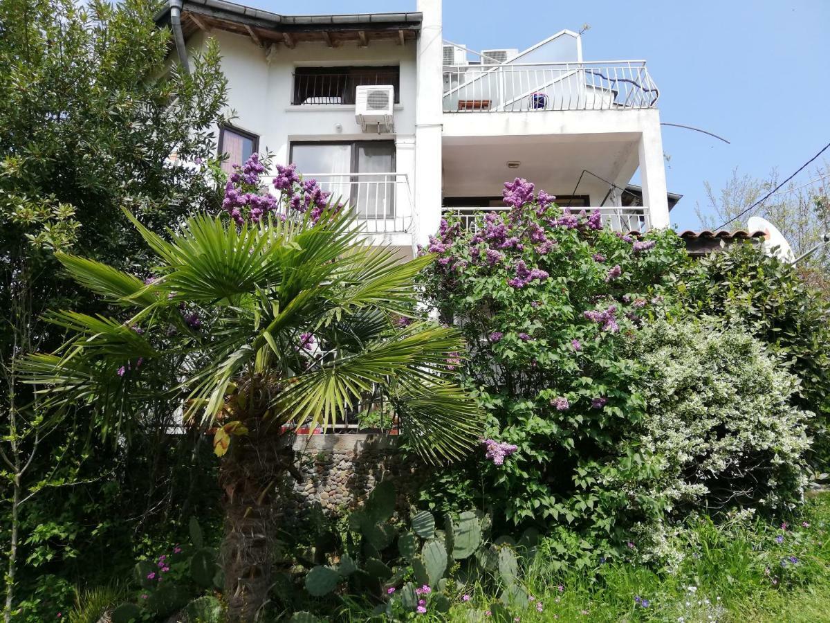 Guest House Fanny Sinemoretz Ngoại thất bức ảnh